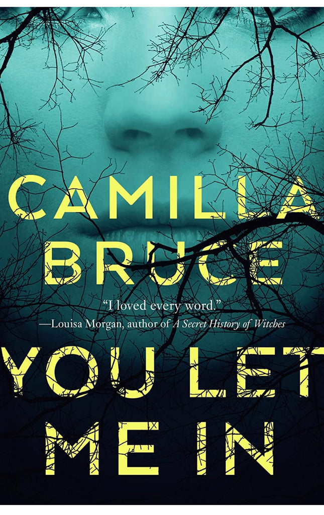 YOU LET ME IN BY CAMILLA BRUCE
